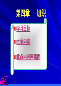 第四章组织(1)