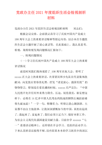 党政办主任2021年度组织生活会检视剖析材料