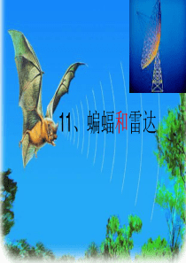 11-蝙蝠和雷达