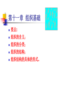 管理学第十一章(1) 组织基础