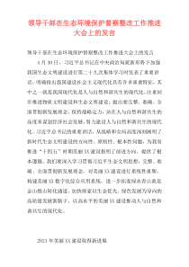 领导干部在生态环境保护督察整改工作推进大会上的发言