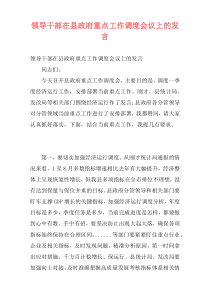 领导干部在县政府重点工作调度会议上的发言