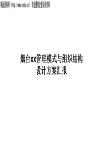 管理模式与组织结构方案