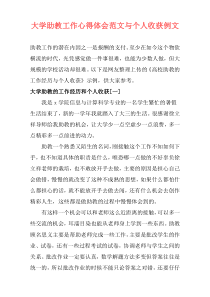 大学助教工作心得体会范文与个人收获例文