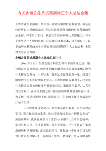 有关乡镇公务员试用期转正个人总结合集