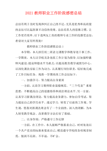 2021教师职业工作阶段感想总结