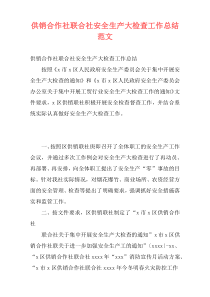 供销合作社联合社安全生产大检查工作总结范文