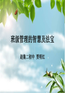 班级管理的智慧及（PPT35页)