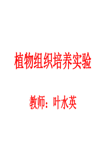 组织培养学实验