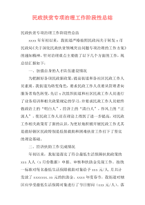 民政扶贫专项治理工作阶段性总结