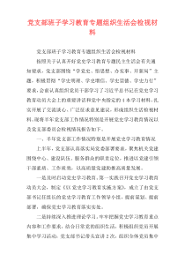 党支部班子学习教育专题组织生活会检视材料