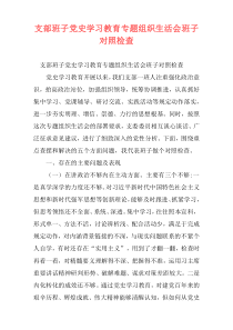 支部班子党史学习教育专题组织生活会班子对照检查