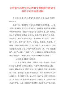 公司党支部党史学习教育专题组织生活会支委班子对照检查材料