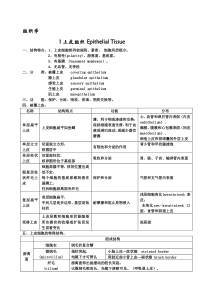 组织学与胚胎学重点