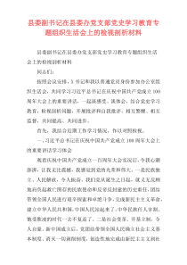 县委副书记在县委办党支部党史学习教育专题组织生活会上的检视剖析材料