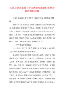 县委办党支部班子学习教育专题组织生活会检视剖析材料