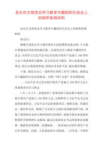 县长在支部党史学习教育专题组织生活会上的剖析检视材料