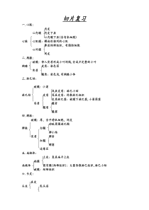 组织学切片结构