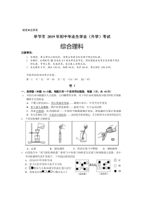 中考卷：贵州毕节19届化学卷（无答案）