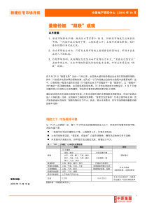 中原：新建住宅市场月报(10月)