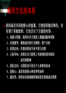 组织文化的本质(ppt30)(1)