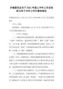 乡镇委员会关于2021年度上半年工作总结范文和下半年工作打算的报告