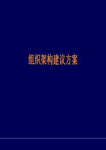 组织架构调整建议方案（PPT42页)