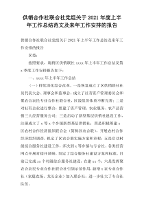 供销合作社联合社党组关于2021年度上半年工作总结范文及来年工作安排的报告