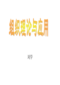 组织理论-TEXT