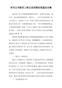 有关公司新员工转正试用期自我鉴定合集