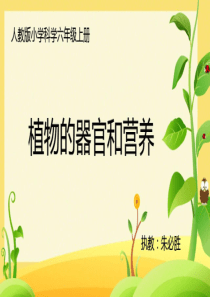 六年级上册科学课件-第一节植物的器官和营养 全国通用(共17张ppt)