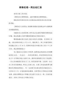 销售经理一周总结汇报