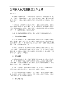 公司新人试用期转正工作总结.