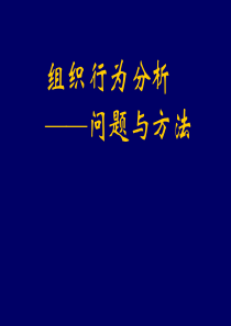 组织行为分析╠问题与方法