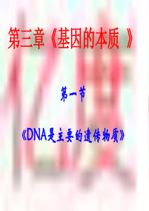 3.1《DNA是主要的遗传物质》课件3