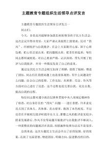 主题教育专题组织生活领导点评发言