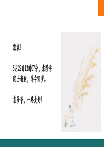 水稻工匠——袁隆平