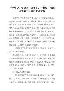 “学党史、悟思想、办实事、开新局”专题会支委班子剖析对照材料