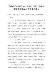 乡镇委员会关于2021年度上半年工作总结范文和下半年工作安排的报告