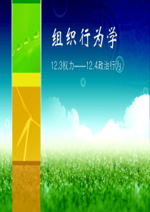 组织行为学123权力124政治行为