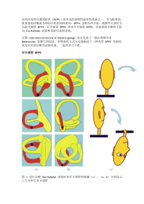 良性阵发性位置性眩晕诊断