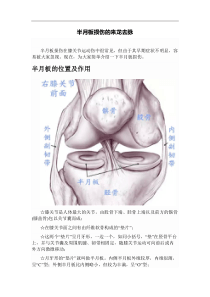 半月板损伤的来龙去脉