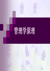 管理学原理1