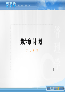 管理学_第6章计划