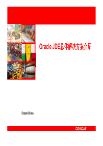 Oracle JDE总体解决方案