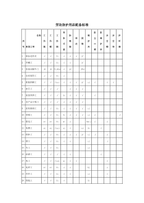 劳动防护用品配备标准