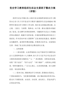 党史学习教育组织生活会支委班子整改方案（详情）