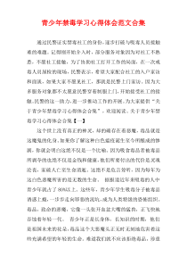 青少年禁毒学习心得体会范文多篇