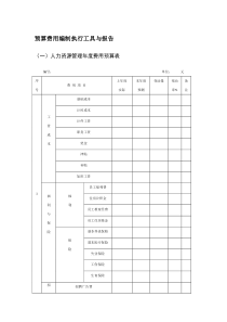 人力资源预算费用编制执行工具与报告