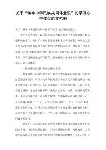 关于“铸牢中华民族共同体意识”的学习心得体会范文范例